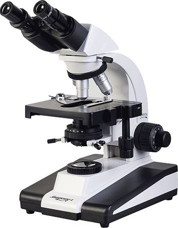 policlinicamaceio