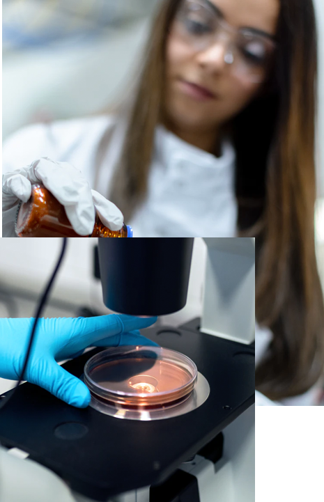 policlinicamaceio
